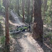 User avatar for Cath Vinall