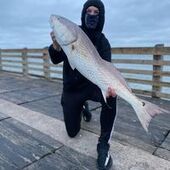 User avatar for Austin Tyler