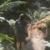 User avatar for Avery Strodder