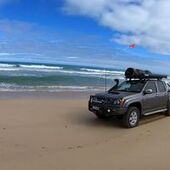 User avatar for Daniel Robins