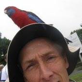 User avatar for Tom Robertson