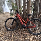 User avatar for Kristin Koenig