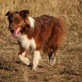 User avatar for Alyssa Doyle