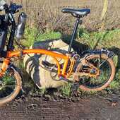 User avatar for Lloyd M