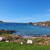 User avatar for France Dehaye