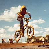 User avatar for Angus Meek