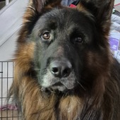 User avatar for Jac Ayscough