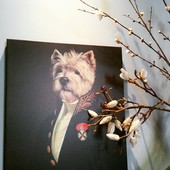 User avatar for Stuart Finlay