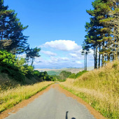 User avatar for Aian X