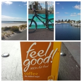 User avatar for Adam Reed