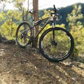 User avatar for Shaun Burgess