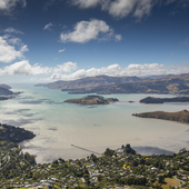 User avatar for Piata Te Kahurangi Costello