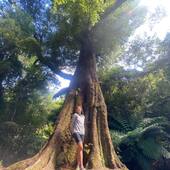 User avatar for Leal Rodriguez