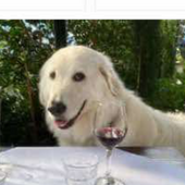 User avatar for Annabel Jones