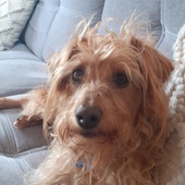 User avatar for Jenny Shurville