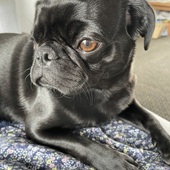 User avatar for Angie Ye