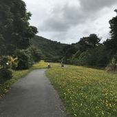 User avatar for Ashrafi Adhau