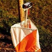 User avatar for Kester Scott