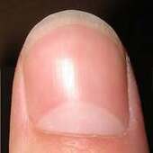 User avatar for Jack Augustine