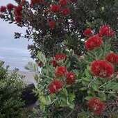 User avatar for Nicole Reid