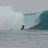 User avatar for Nick Webb