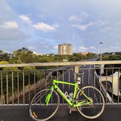 User avatar for Yu Wang