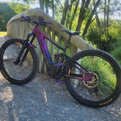 User avatar for Amanda Cowens