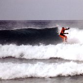 User avatar for Phil Manuel