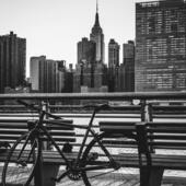 User avatar for Dennis Hansen