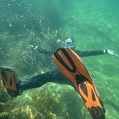 User avatar for Annie Swain