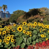 User avatar for R Payne