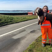 User avatar for Delphinie Mc Carthy