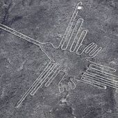 User avatar for Oscar Welton-Rosie