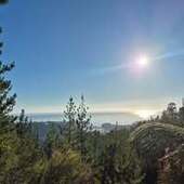 User avatar for Brent Laney