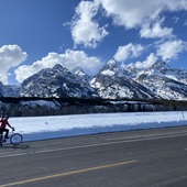 User avatar for Elizabeth Johnson