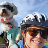 User avatar for Katelyn Katelyn