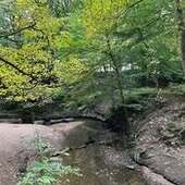 User avatar for Hails Marie