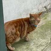 User avatar for Ferris Wong