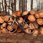 User avatar for Maarten van der Veer