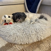 User avatar for Diana Banana