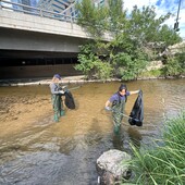 User avatar for Lauren Hart