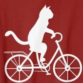 User avatar for Angie Crain