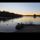 User avatar for Andrew Rutherford