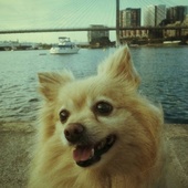 User avatar for Vasili Maroulis