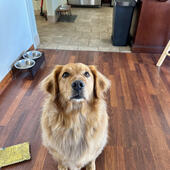 User avatar for Noelle Winkler