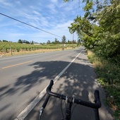 User avatar for Michelle Harris