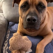 User avatar for Lori Hee-Doran