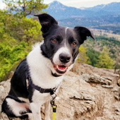 User avatar for Brandon Do