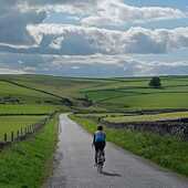 User avatar for Sandra Steinhauer