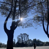 User avatar for J  C fatire